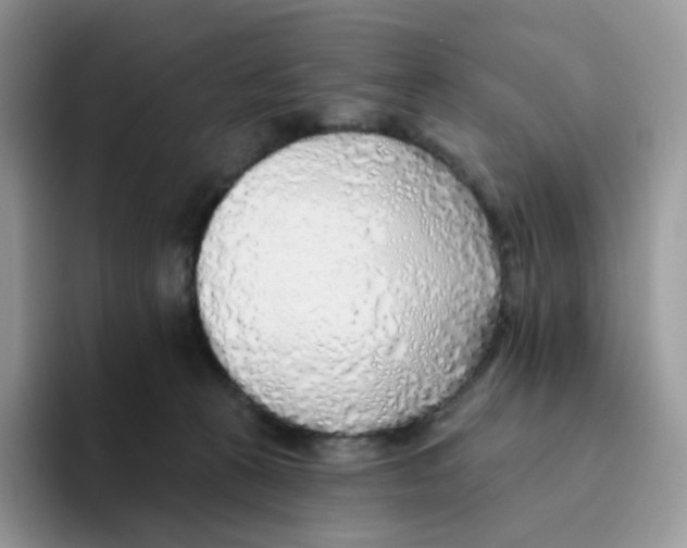 X0000093500273200711091708