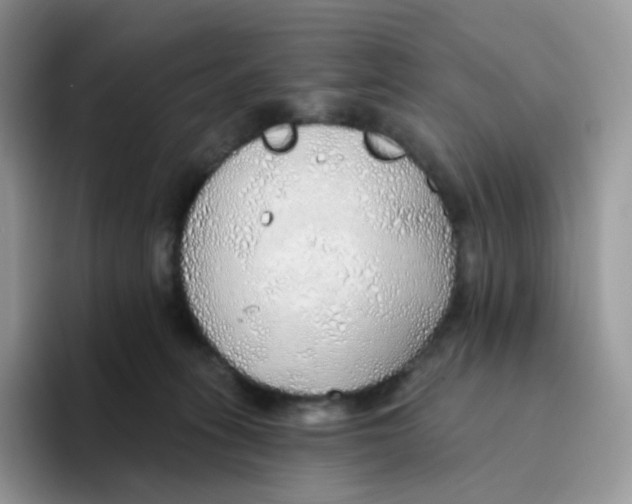 X0000093500275200711091708