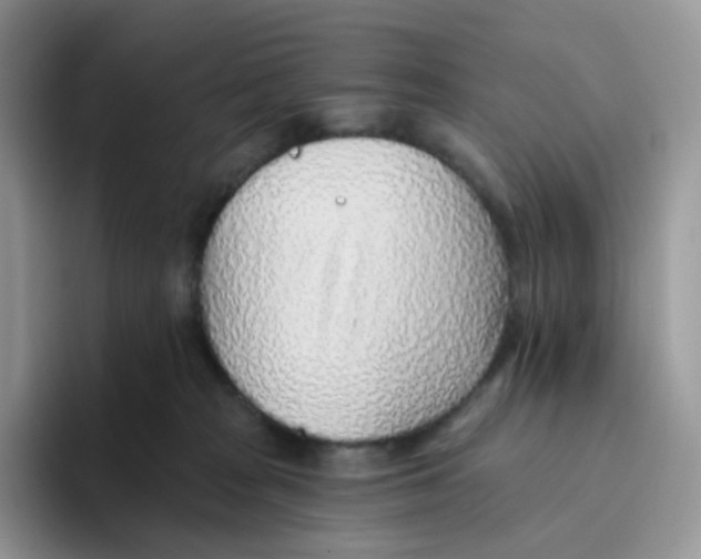 X0000093500277200711091708