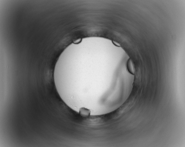 X0000093500278200711091708