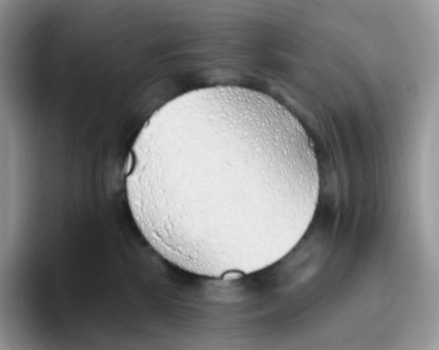 X0000093500281200711091708