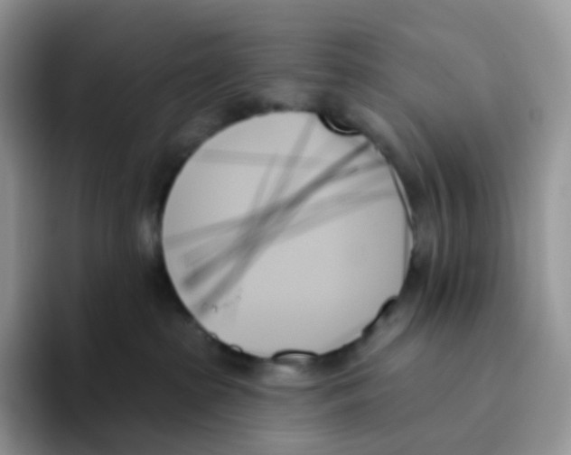 X0000093500285200711091708