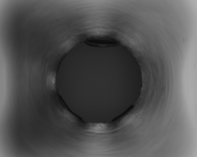 X0000093500288200711091708