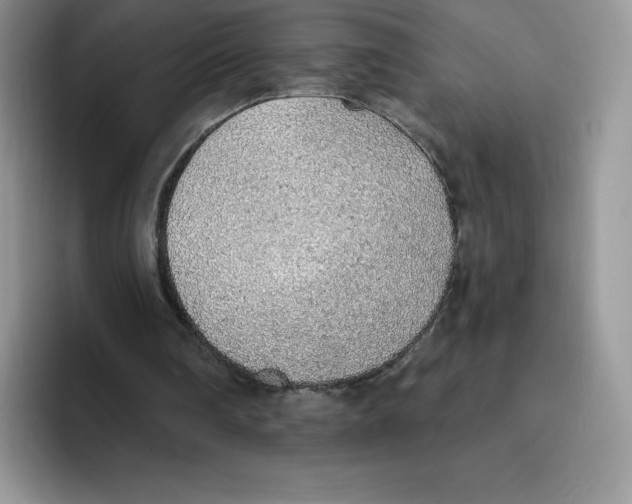 X0000093500290200711091708