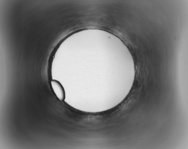 X0000093500292200711091708