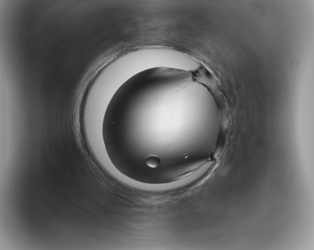 X0000093500293200711091708