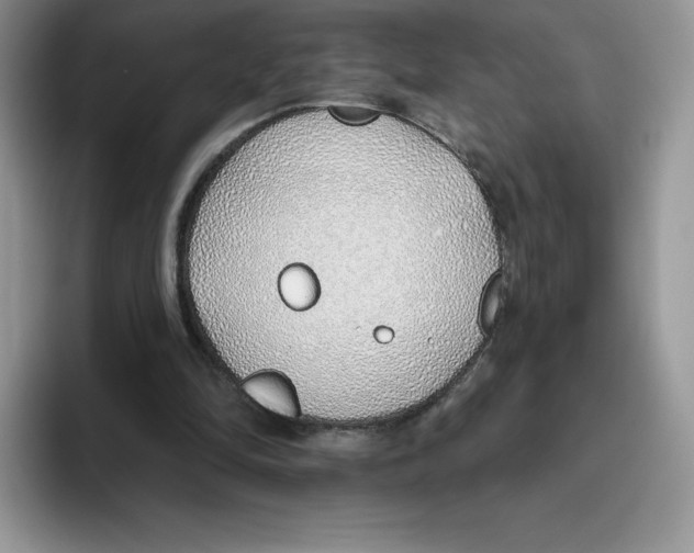 X0000093500294200711091708