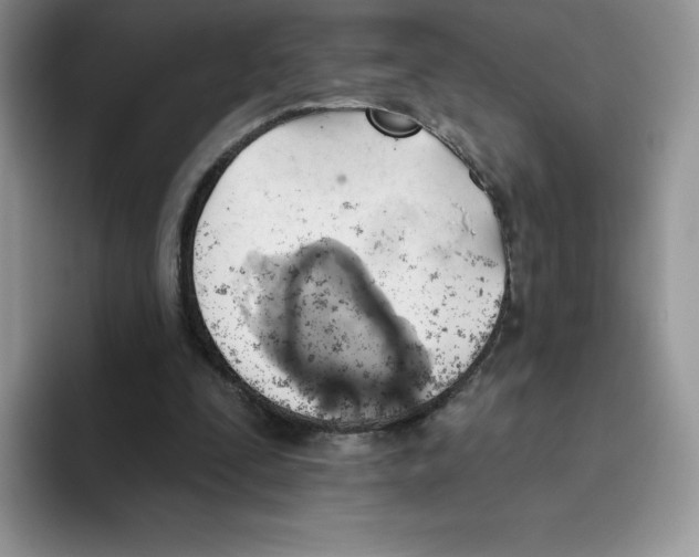 X0000093500295200711091708