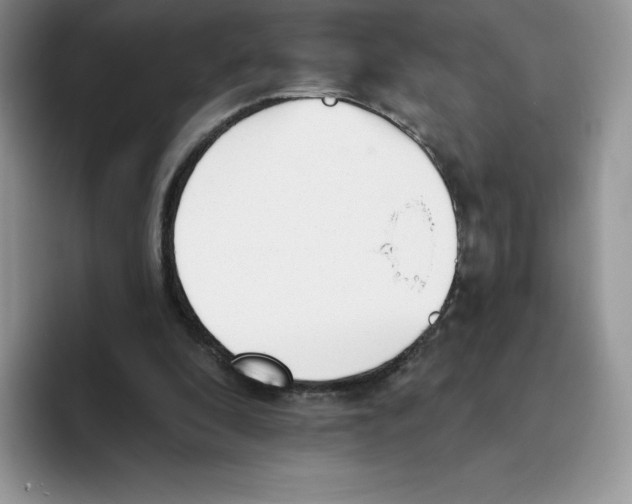 X0000093500296200711091708