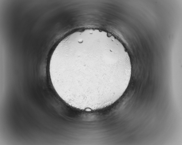 X0000093500299200711091708