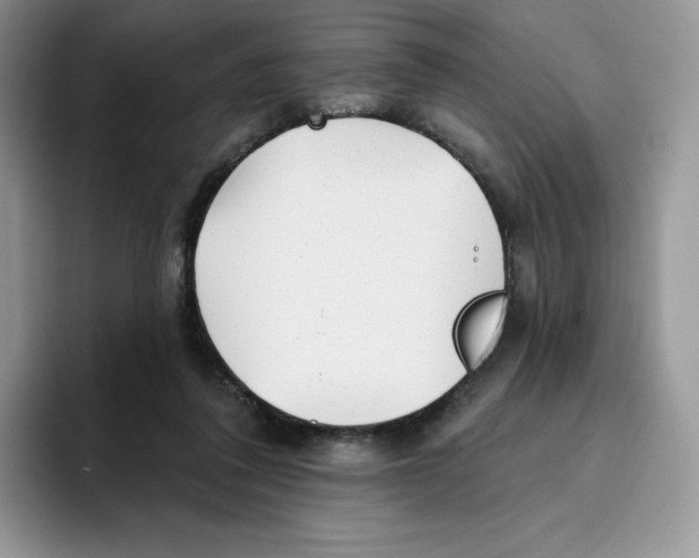 X0000093500308200711091708