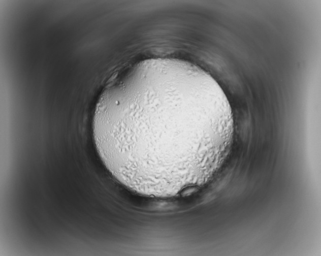 X0000093500319200711091708