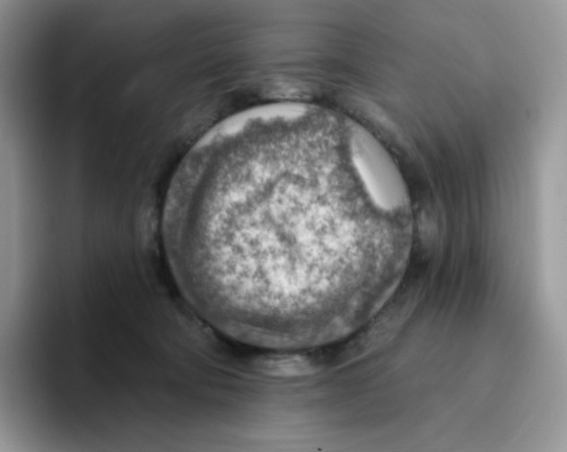 X0000093500322200711091708