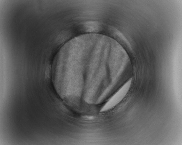 X0000093500325200711091707