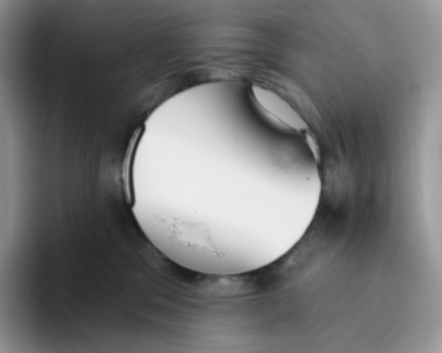 X0000093500329200711091707