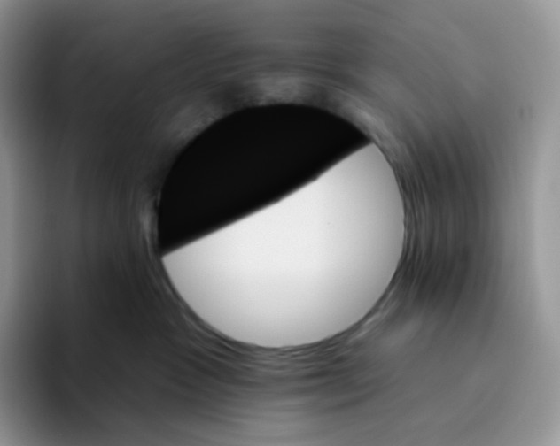 X0000093500333200711091707