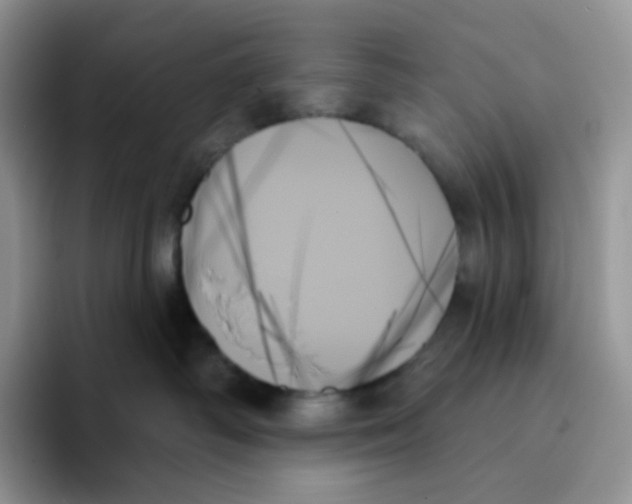 X0000093500334200711091707