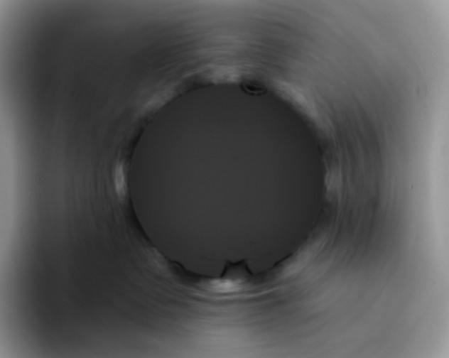 X0000093500335200711091707