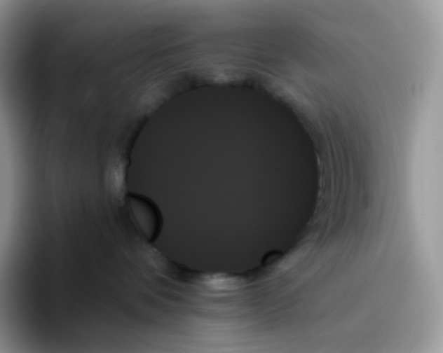 X0000093500336200711091707