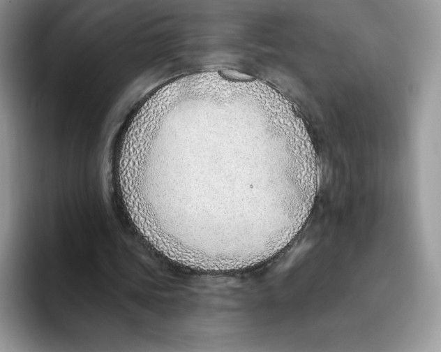 X0000093500339200711091707