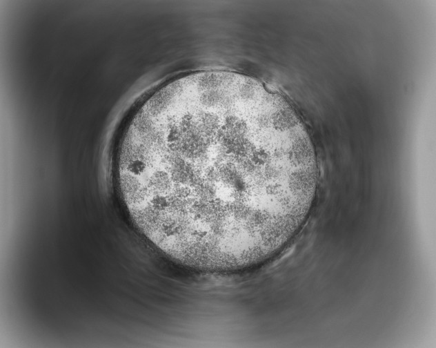 X0000093500343200711091707