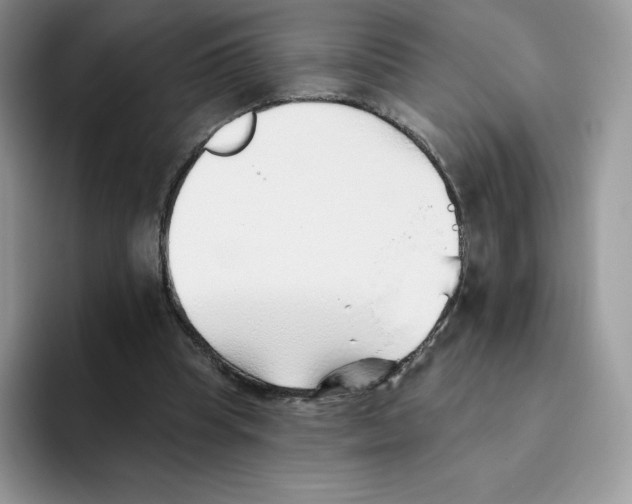 X0000093500345200711091707