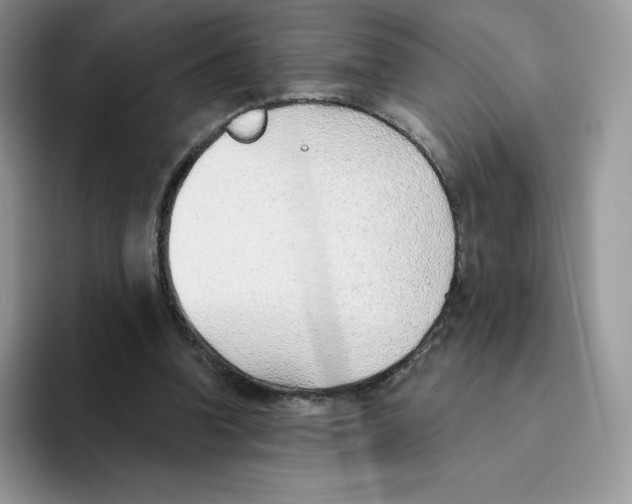 X0000093500346200711091707