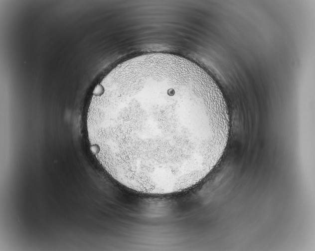 X0000093500351200711091707