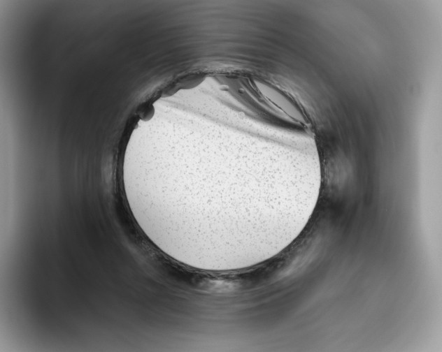 X0000093500352200711091707