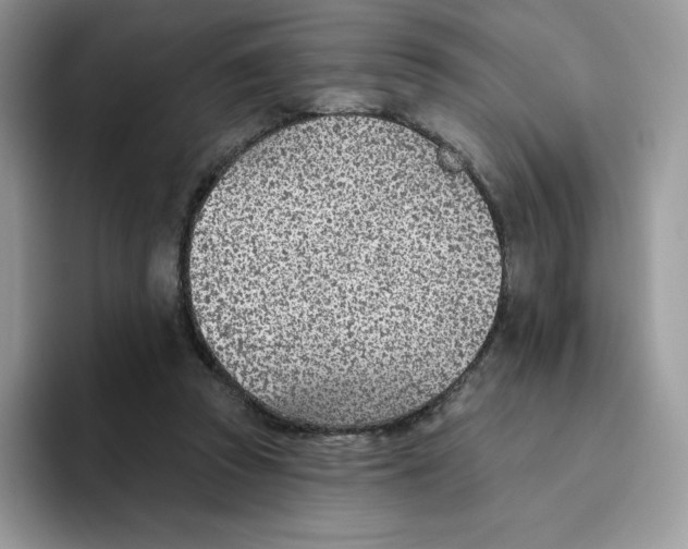 X0000093500353200711091707