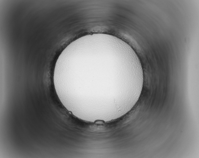 X0000093500354200711091707