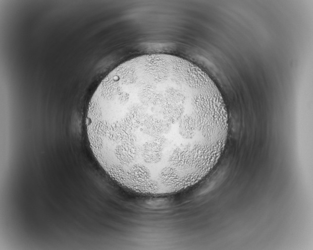 X0000093500357200711091707