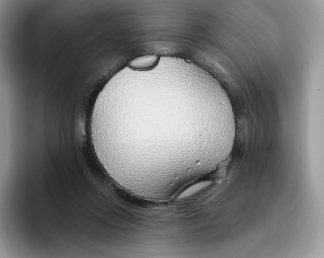 X0000093500358200711091707