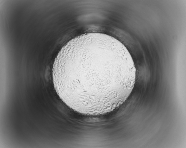 X0000093500361200711091707