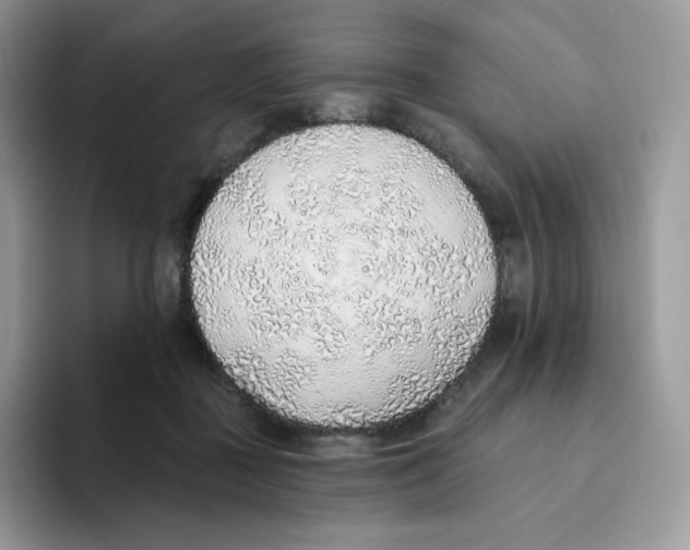 X0000093500363200711091707