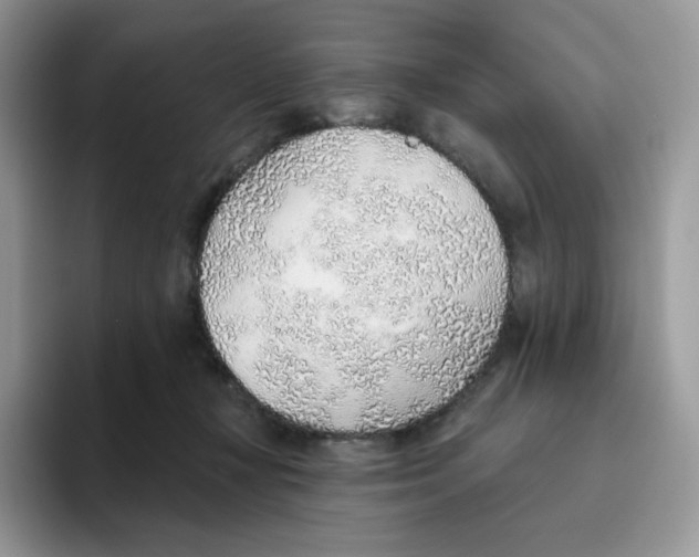 X0000093500367200711091707