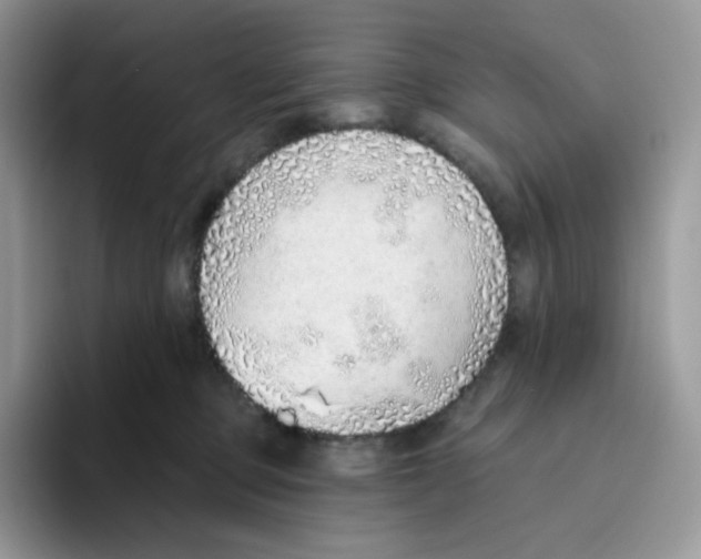 X0000093500373200711091707