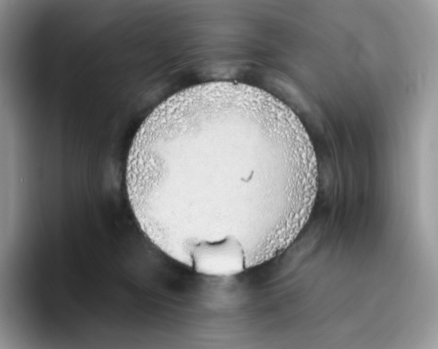 X0000093500374200711091707