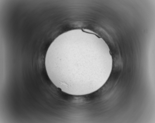 X0000093500376200711091707