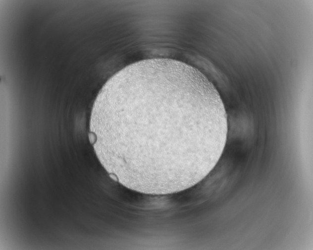 X0000093500377200711091707