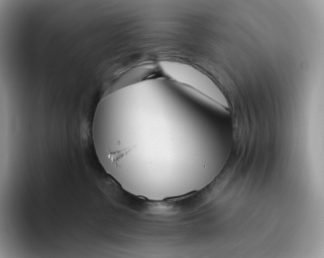 X0000093500380200711091707