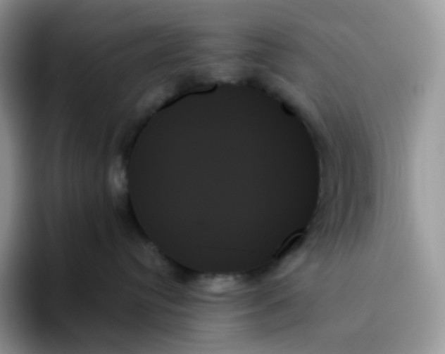 X0000093500384200711091707