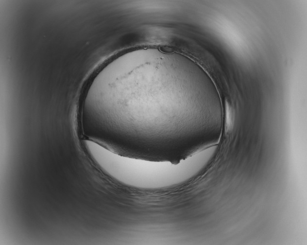 X0000093500387200711091707