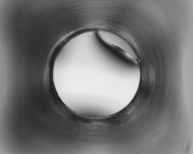 X0000093500388200711091707