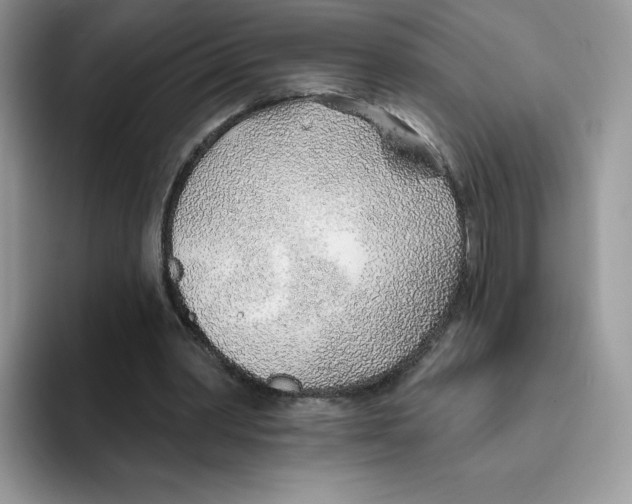 X0000093500390200711091707