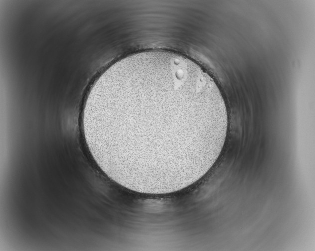 X0000093500394200711091707