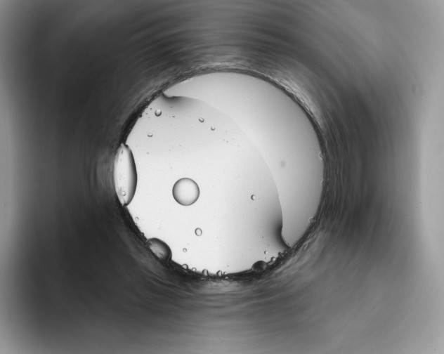 X0000093500397200711091707