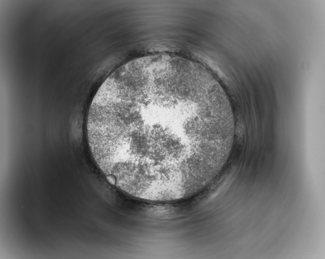 X0000093500402200711091707