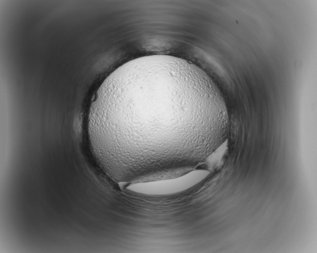 X0000093500404200711091707