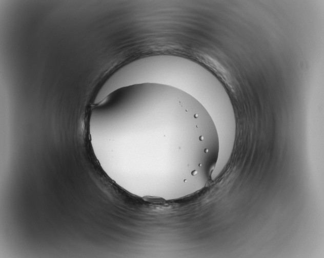 X0000093500405200711091707